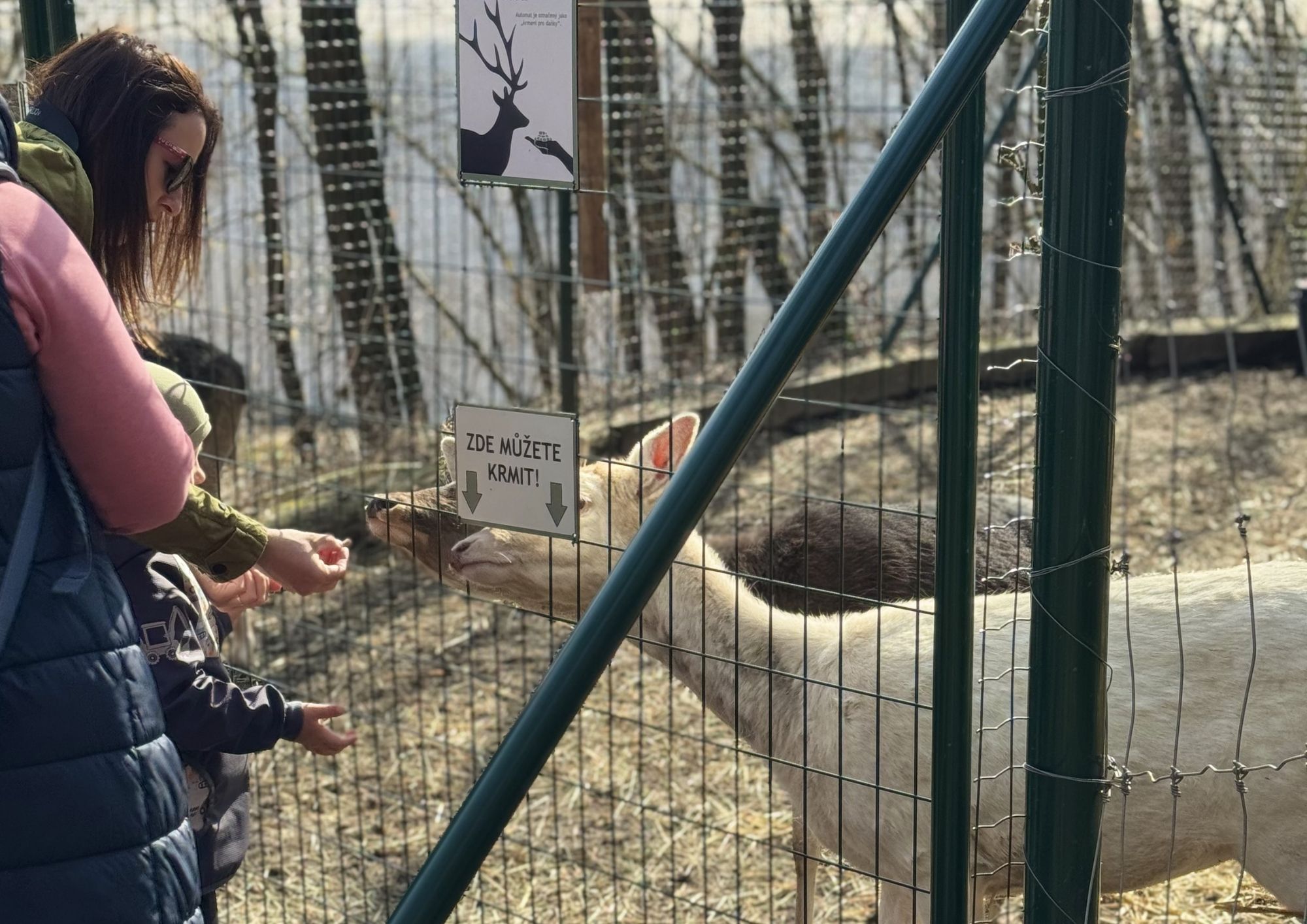 Fotky Jaro (A4 (na šířku)) (2)